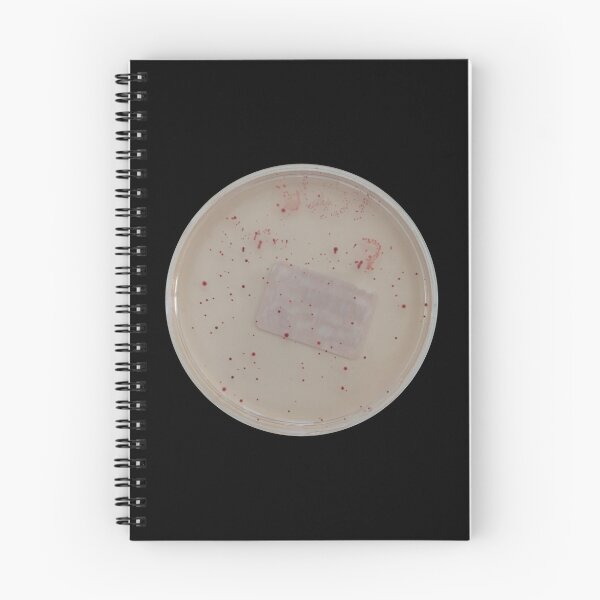 Item preview, Enterococci colonies growing on S&B agar designed and sold by Fromthelab.