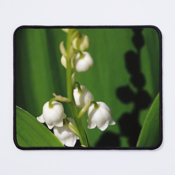 Item preview, May Bells And Shadow designed and sold by Deb Oppermann.