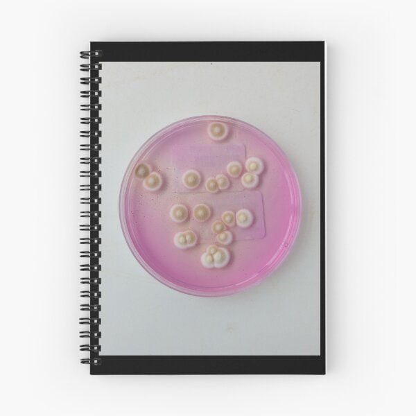 Item preview, Moulds on DRBCA designed and sold by Fromthelab.