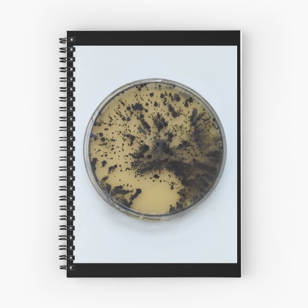 Item preview, Staphylococcus spray on BPA designed and sold by Fromthelab.