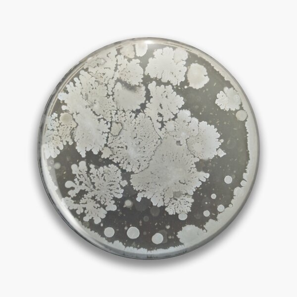 Item preview, Fractal colonies on PCA designed and sold by Fromthelab.
