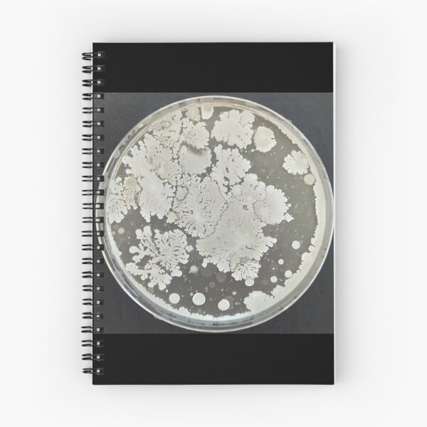 Item preview, Fractal colonies on PCA designed and sold by Fromthelab.