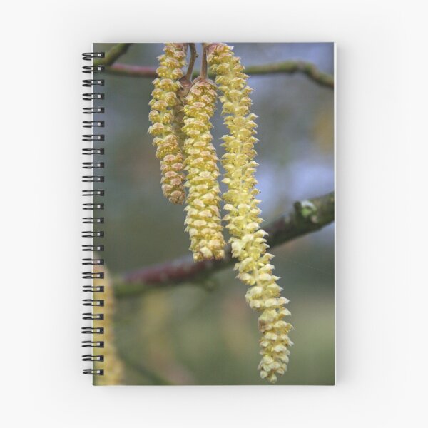 Item preview, Catkins designed and sold by RedHillDigital.