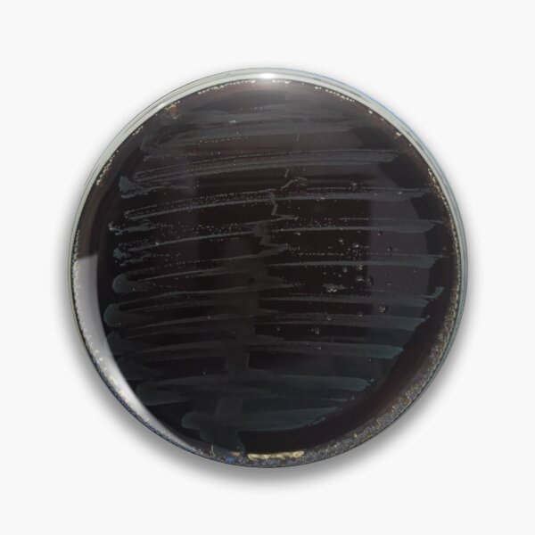 Item preview, Listeria on Oxford agar designed and sold by Fromthelab.