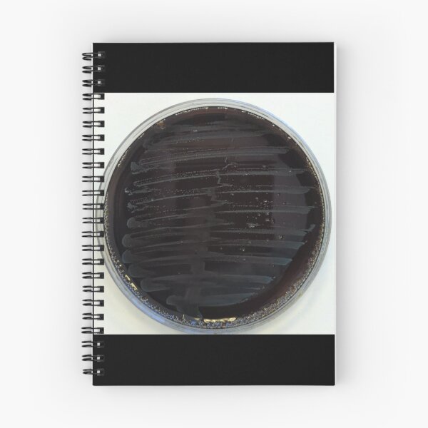 Item preview, Listeria on Oxford agar designed and sold by Fromthelab.