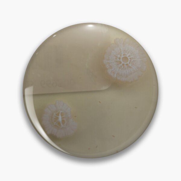 Item preview, Colony closeups on PCA designed and sold by Fromthelab.
