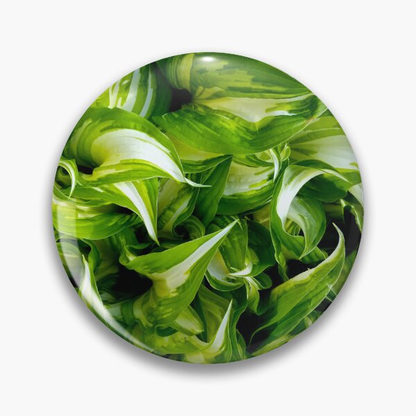 Artikelvorschau, Hosta Greens entworfen und verkauft von bjtomiko.