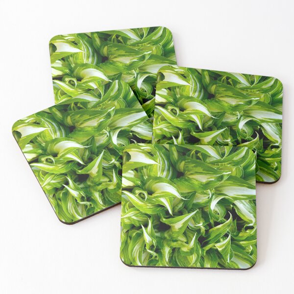 Item preview, Hosta Greens designed and sold by bjtomiko.