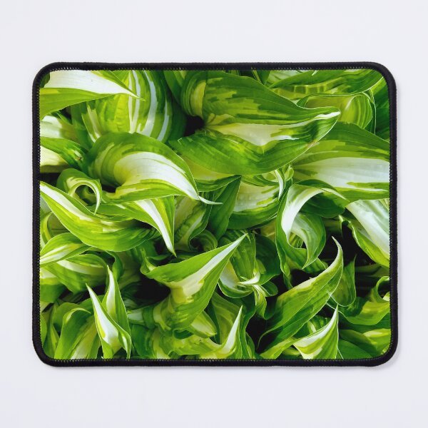 Artikelvorschau, Hosta Greens entworfen und verkauft von bjtomiko.