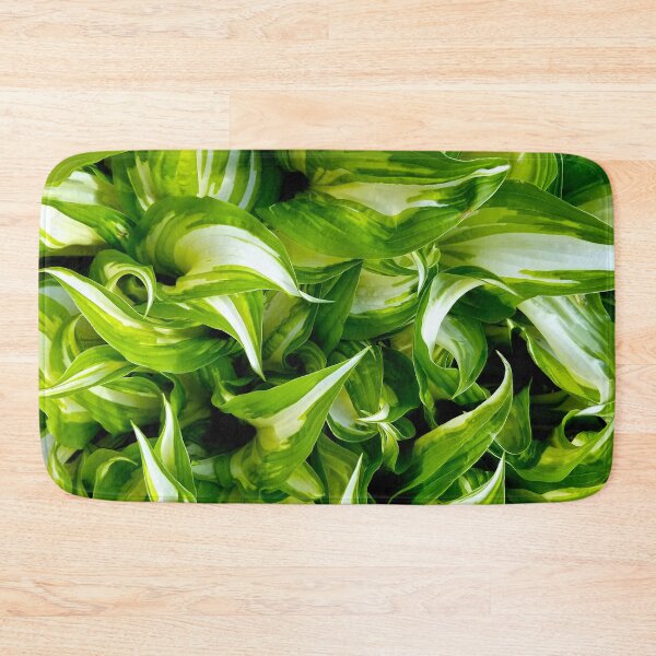 Item preview, Hosta Greens designed and sold by bjtomiko.