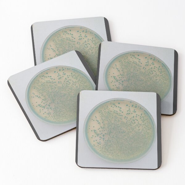 Item preview, E.coli on TBX agar designed and sold by Fromthelab.