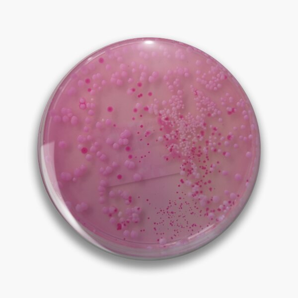 Item preview, Pink yeasts on DRBCA agar designed and sold by Fromthelab.