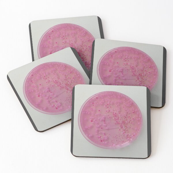 Item preview, Pink yeasts on DRBCA agar designed and sold by Fromthelab.