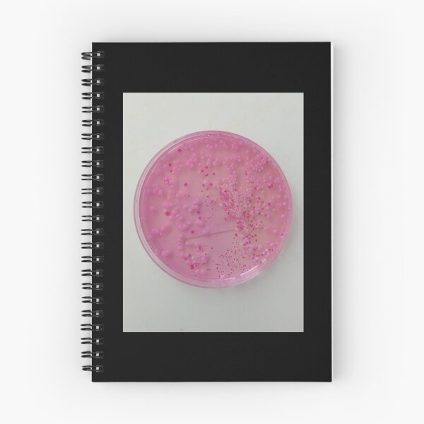 Item preview, Pink yeasts on DRBCA agar designed and sold by Fromthelab.