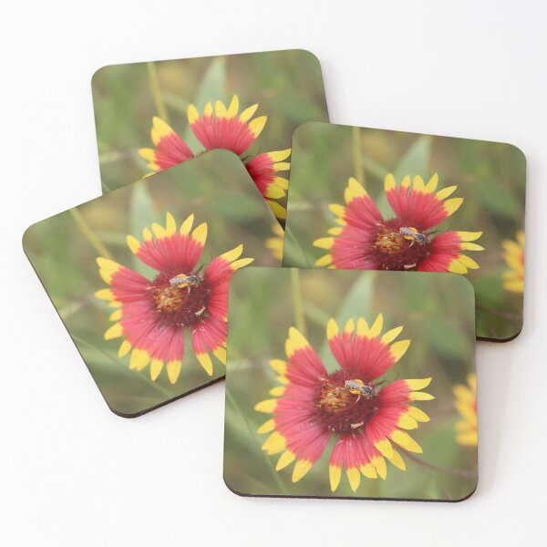 Item preview, Hoverfly on Pinwheel designed and sold by thatpersonsoph.
