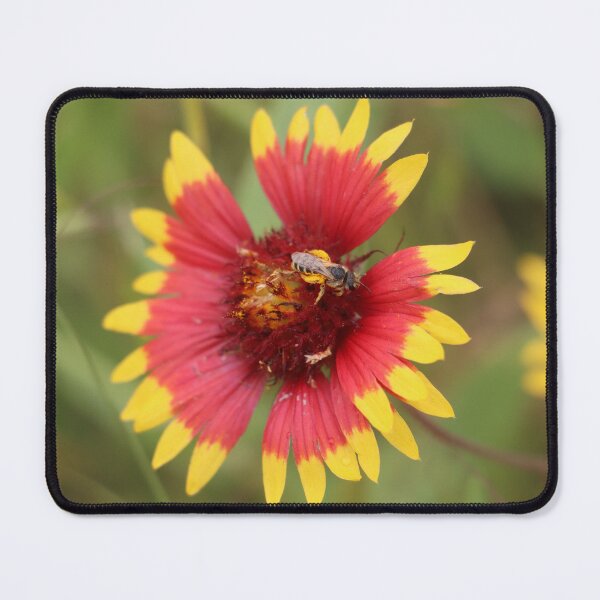 Item preview, Hoverfly on Pinwheel designed and sold by thatpersonsoph.