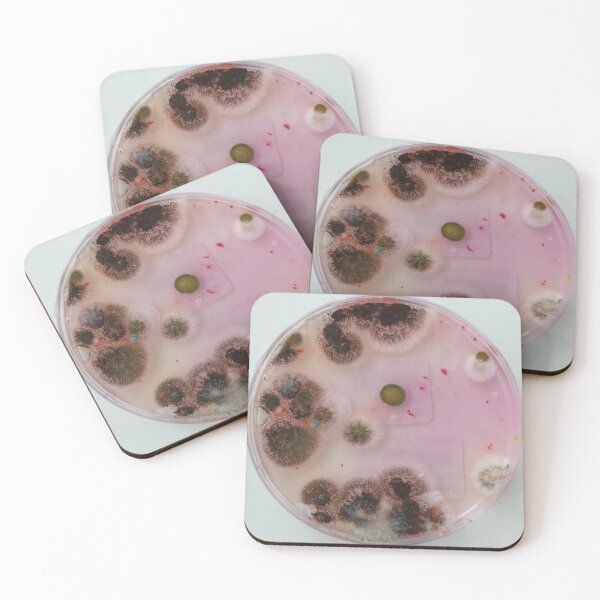 Item preview, Different moulds on DRBCA agar designed and sold by Fromthelab.