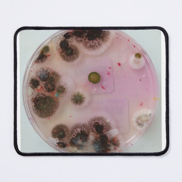 Item preview, Different moulds on DRBCA agar designed and sold by Fromthelab.