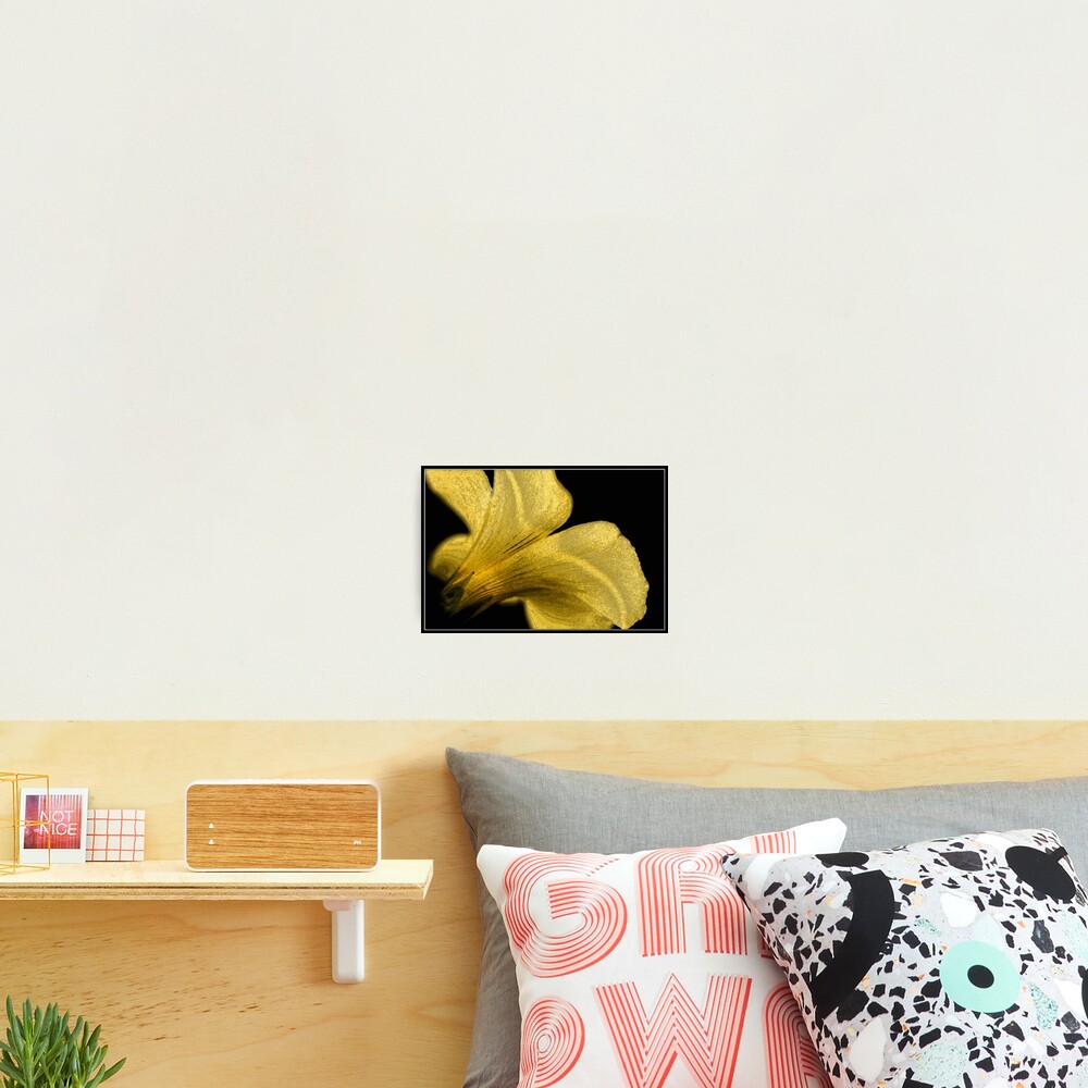 Item preview, Photographic Print designed and sold by cking.