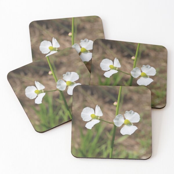 Item preview, White wildflowers on the trail designed and sold by Jmb67.