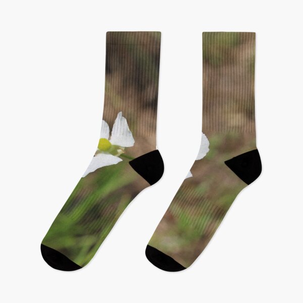 Item preview, White wildflowers on the trail designed and sold by Jmb67.