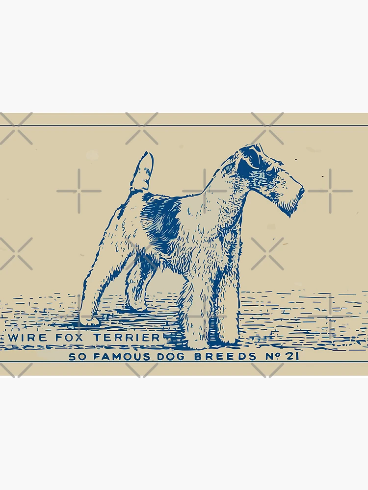 Famous wire clearance fox terriers