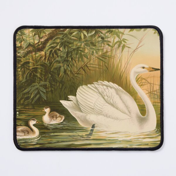Item preview, Vintage Swan with babies Antique Nursery Art Bird designed and sold by ElegantCat.