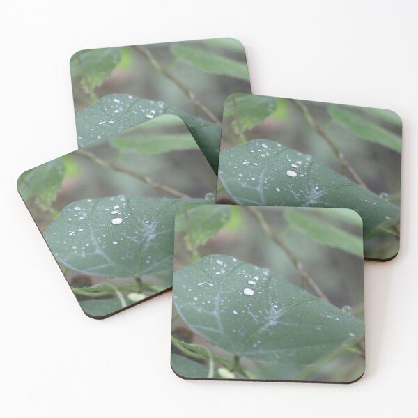Item preview, Dew Dropped Leaf designed and sold by BlvdHumblDesign.
