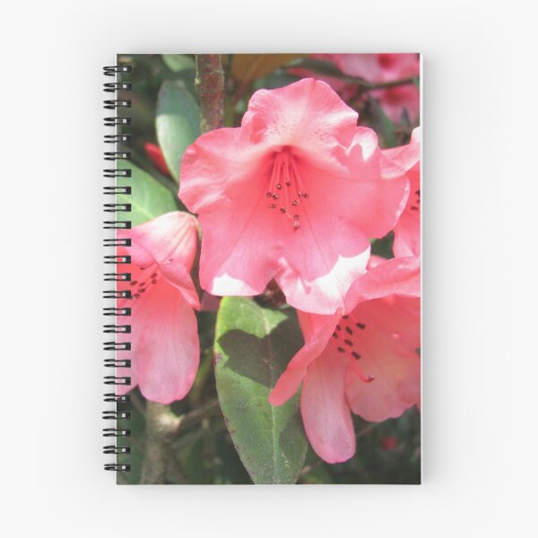 Item preview, As Nature Intended designed and sold by RedHillDigital.