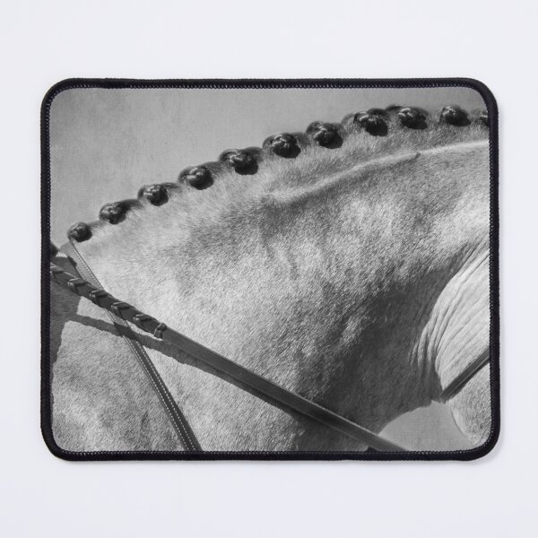 Item preview, Shades of Grey - Fine Art Horse Photography designed and sold by Michelle Wrighton.