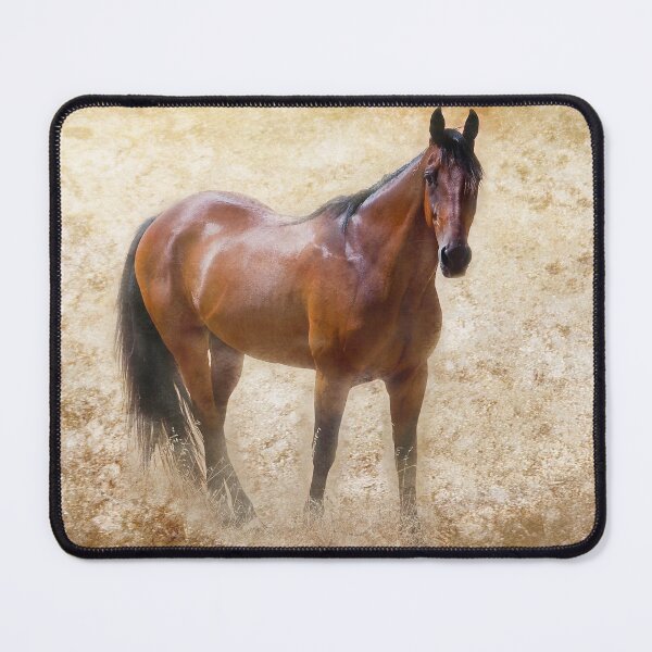 Item preview, Summer Bay Horse Photograph designed and sold by Michelle Wrighton.