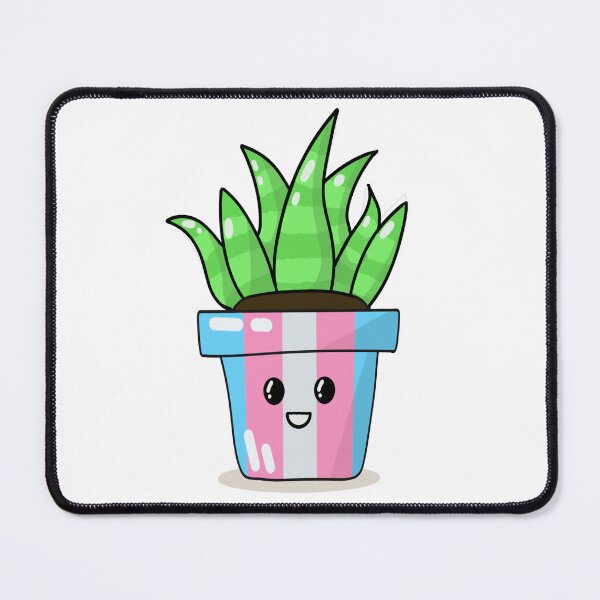 Item preview, Trans Pride Snake Plant designed and sold by TheTransStyle.