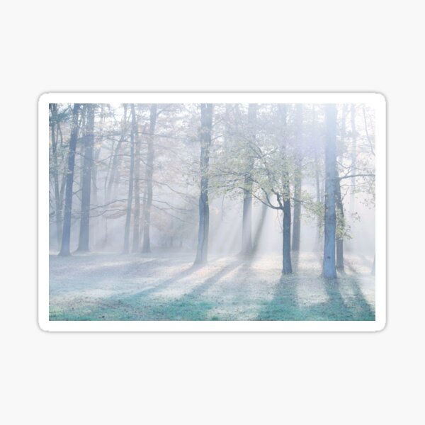 Shadows of Silence Sticker