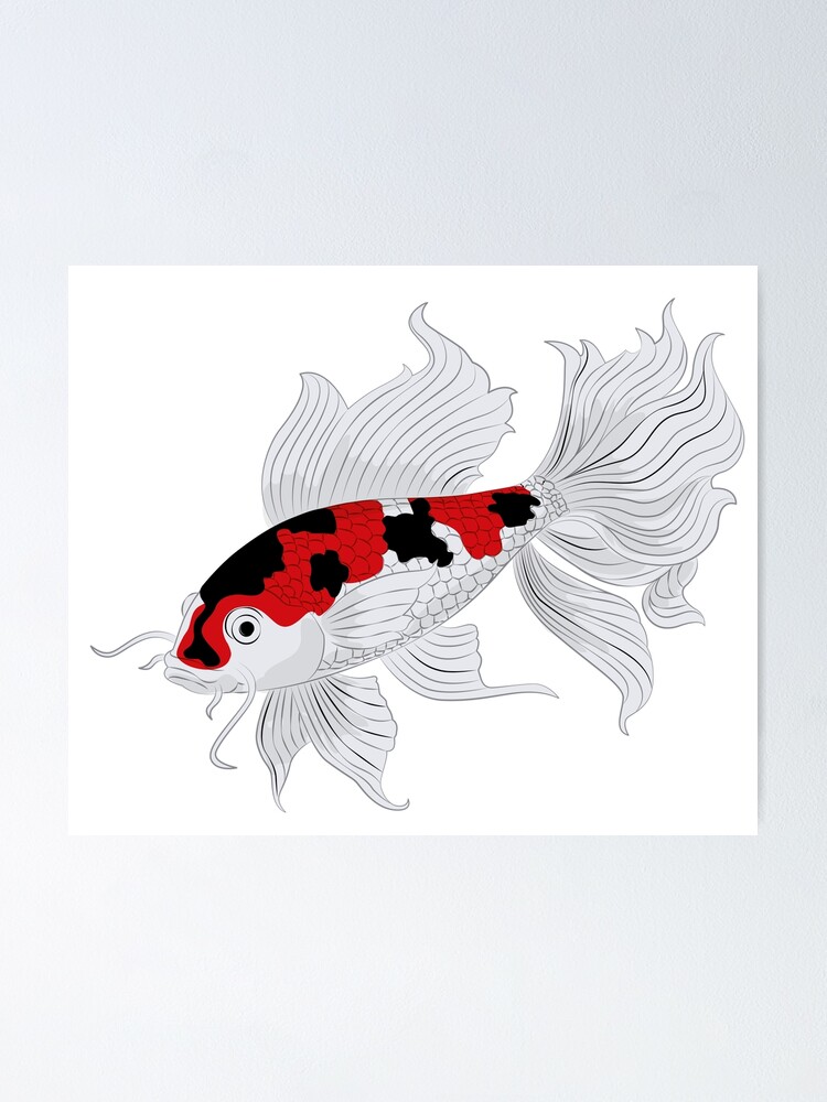 Drawing of a Koi Fish on a Black Background » Зумипик
