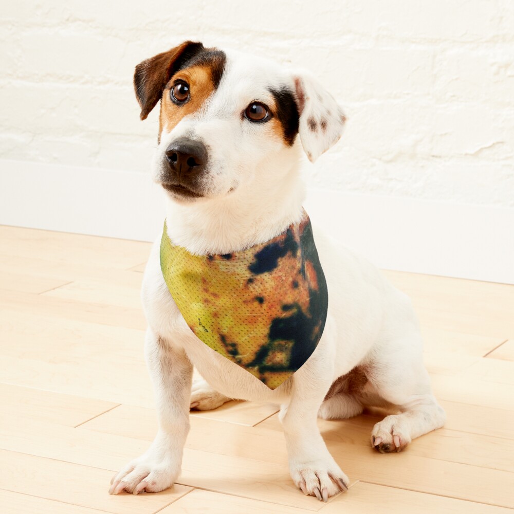 Item preview, Pet Bandana designed and sold by MODerATEtheDAN.