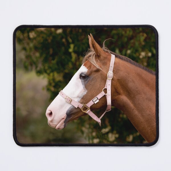 Item preview, Painted Lady Paint Horse Photograph designed and sold by Michelle Wrighton.