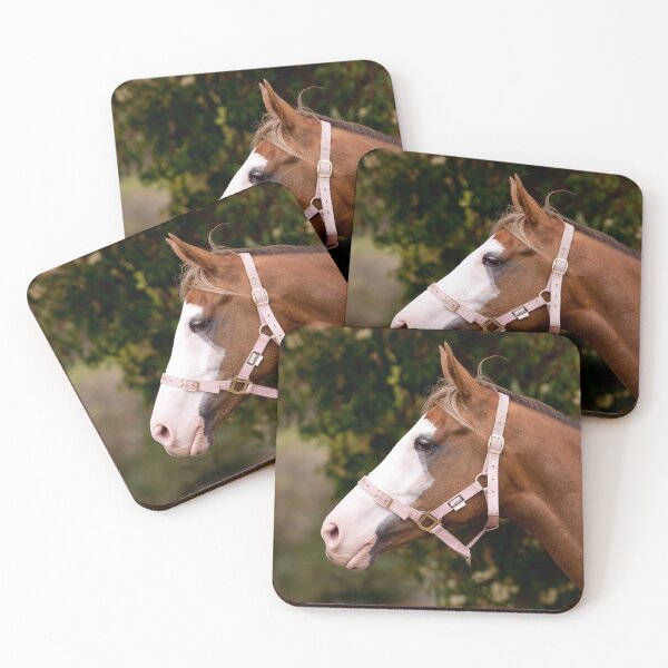 Item preview, Painted Lady Paint Horse Photograph designed and sold by Michelle Wrighton.