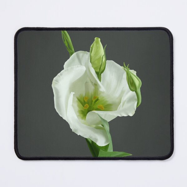 Item preview, Eustoma designed and sold by Dominique Harness.