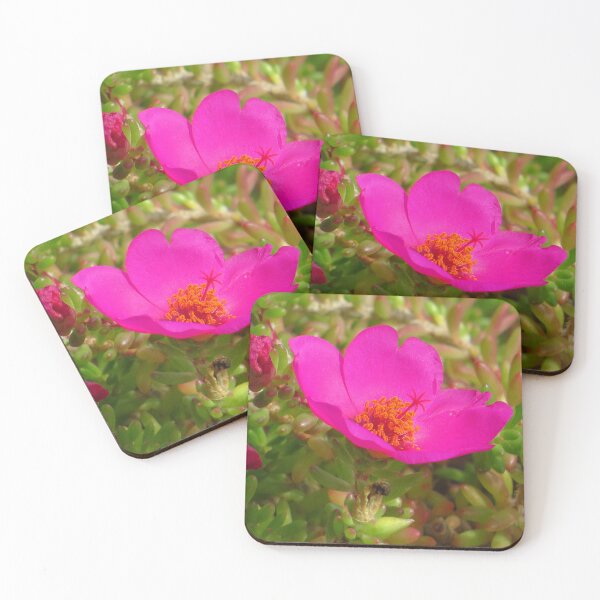 Item preview, Purple flower designed and sold by PhotosbyFlopy.