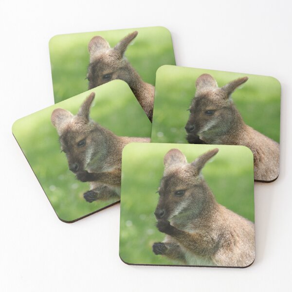 Item preview, Bennett's Wallaby  designed and sold by rawshutterbug.