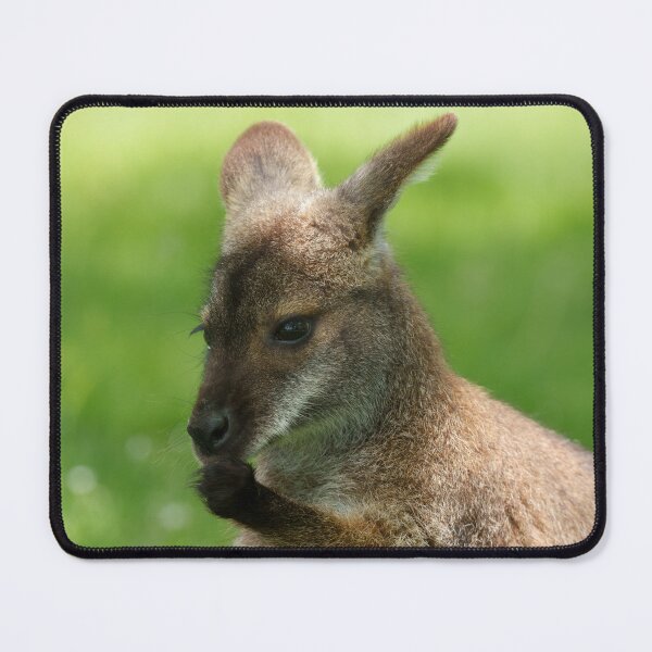 Item preview, Bennett's Wallaby designed and sold by rawshutterbug.