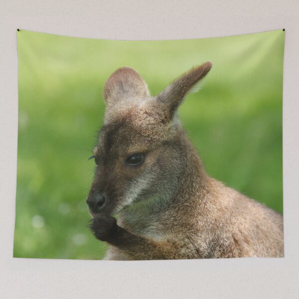 Item preview, Bennett's Wallaby  designed and sold by rawshutterbug.
