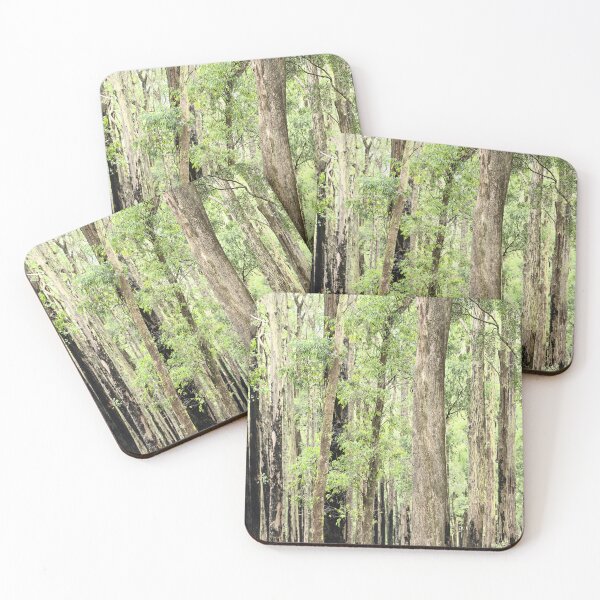 Item preview, Trees in the lush green forest, Mount Dandenong designed and sold by Liza Clements Photographic.