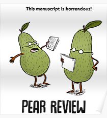 Birnen-Rezension Poster