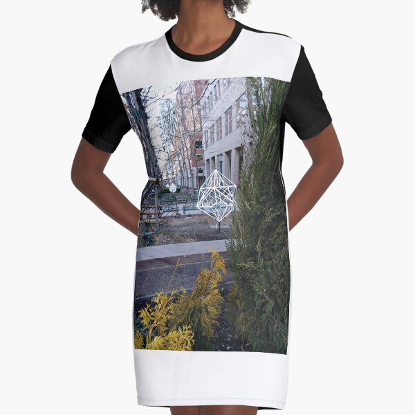Street, City, Buildings, Photo, Day, Trees Graphic T-Shirt Dress