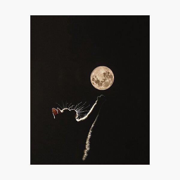 Item preview, Cat Meets the Moon designed and sold by DreamCollagee.