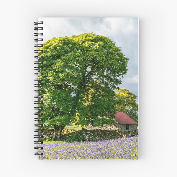 Item preview, Bluebells at Emsworthy Mire. Dartmoor designed and sold by JoSowden.