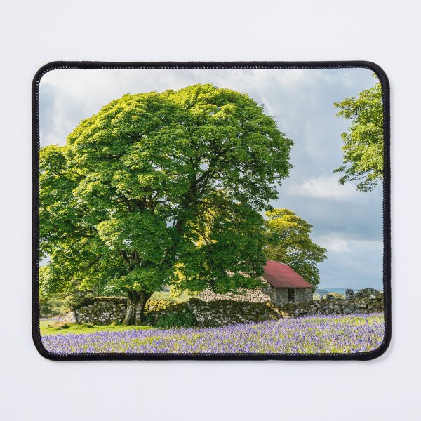 Item preview, Bluebells at Emsworthy Mire. Dartmoor designed and sold by JoSowden.