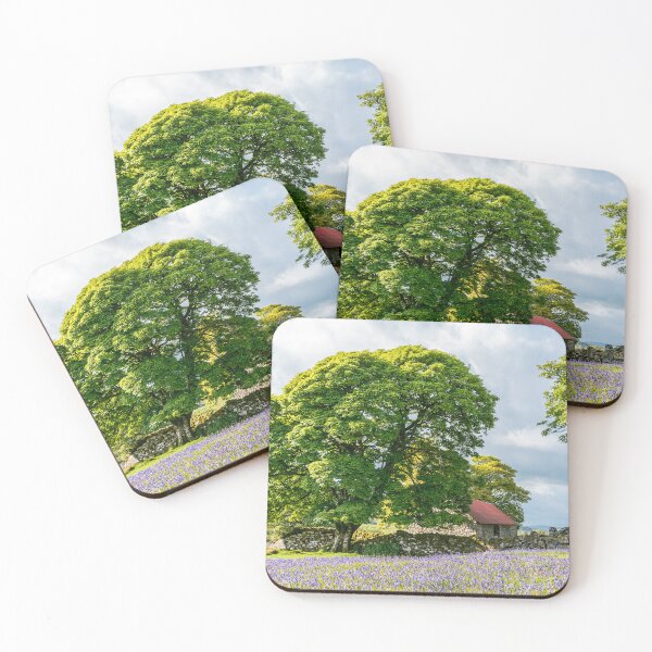 Item preview, Bluebells at Emsworthy Mire. Dartmoor designed and sold by JoSowden.