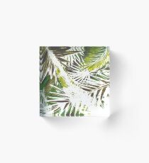 TROPICAL PUNCH LIME Acrylic Block